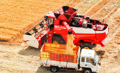 该大模子依托人工智能技